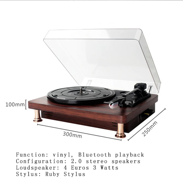 Retro Dust-proof Vinyl Record Player